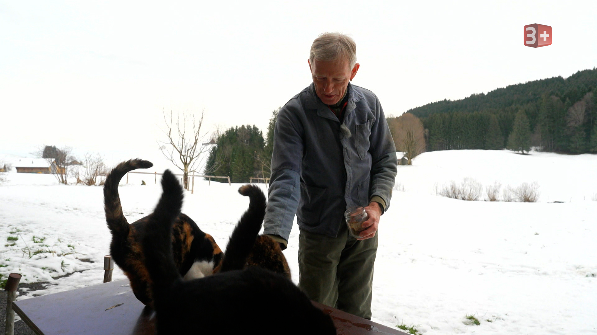 Das sind die ersten Bauern der 19. Staffel von BAUER LEDIG