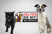 Tierische Love-Stories: Mars ruft zur Adoption von Tierheimtieren auf