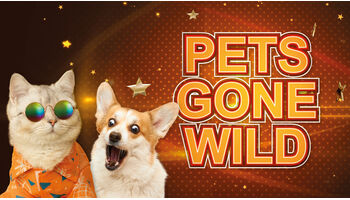 «Pets gone wild»: 3+ lanciert tierisch gute Unterhaltungsserie für die ganze Familie