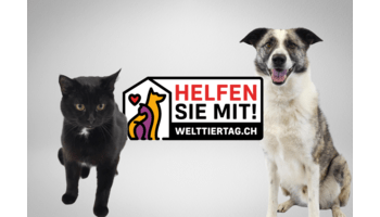 Tierische Love-Stories: Mars ruft zur Adoption von Tierheimtieren auf