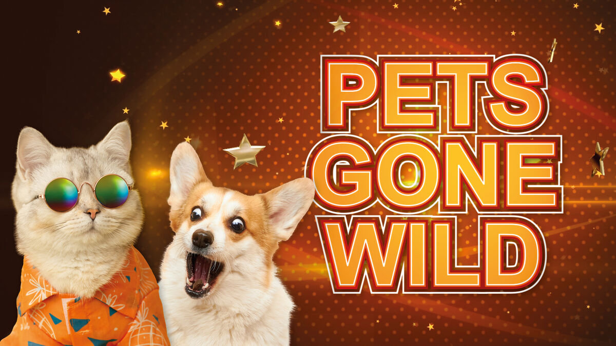 -Pets-gone-wild-3-lanciert-tierisch-gute-Unterhaltungsserie-f-r-die-ganze-Familie